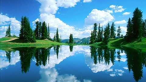 فاتحة سورة الزمر