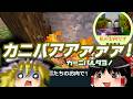 邪悪なネザーに潜入セヨ!【邪悪な世界 #5】【マイクラ】【ゆっくり実況】