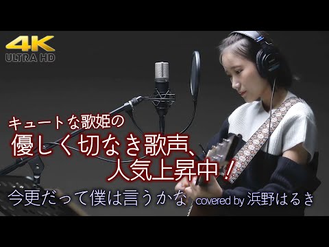 【 歌うま 】優しく切なき歌声、人気上昇中のアーティストさんです！　 今更だって僕は言うかな / Saucy Dog（cover）" 浜野はるき " スタジオテイク 4K映像