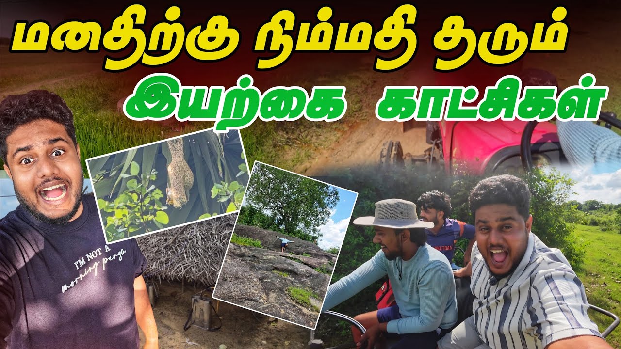 🟢 என் நண்பனின் சொர்க்கம் போன்ற வயல்வெளி! 🚜 வியக்க வைக்கும் இயற்கை அழகு!