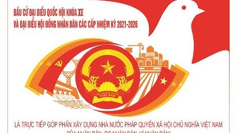 (Đài THVL) Hỏi đáp các quy định của pháp luật về bầu cử đại biểu Quốc hội và HĐND các cấp