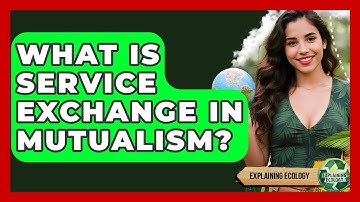 What Is Service Exchange In Mutualism? - Explaining Ecology
