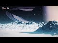 Solar System Moon Discoveries Documentary | Space Exploration of Extraordinary Worlds