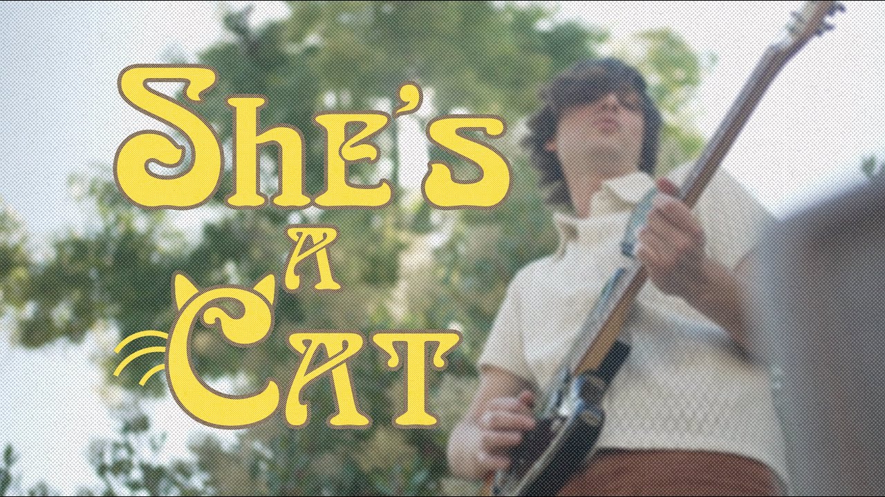 SPAM - She's a Cat (Official Music Video)