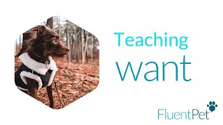 Teaching WANT | FluentPet Buttons