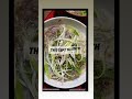 9th Annual Moon Festival - Newcenturyfestivals- Vietnamese food