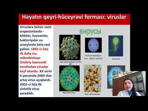 Video: Hüceyrələr nüvəsiz çoxala bilərmi?