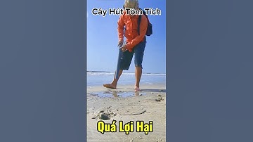 Cây hút tôm tích này quá lợi hại: #câyhúttômtich #mòcuabắtốctv