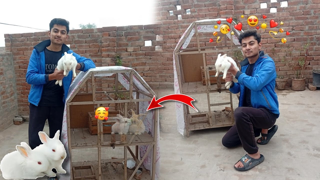 AJ Hamare set-up pr BHT piyare rabbits agaye😍😍