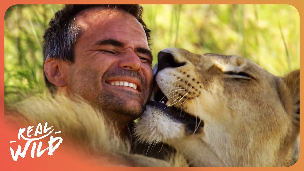 The Lion Whisperer The Incredible Bond Between Man And Africa s Apex the-lion-whisperer-the-incredible-bond-between-man-and-africa-s-apex