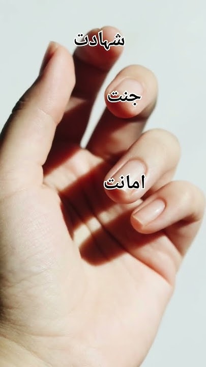 names-of-fingers-in-arabic-islam-islamicknowledge-islamic