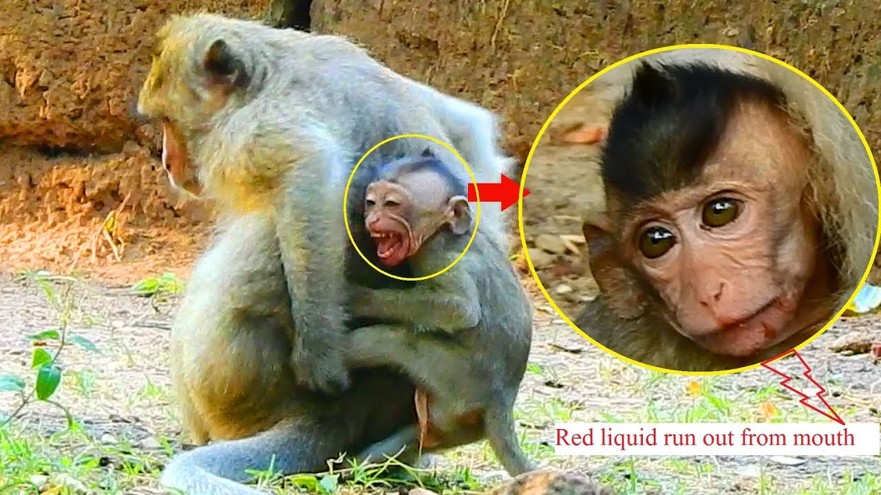 Million tear drop when see Elsa wean  Elino and fight him until red liquid came out from his mouth