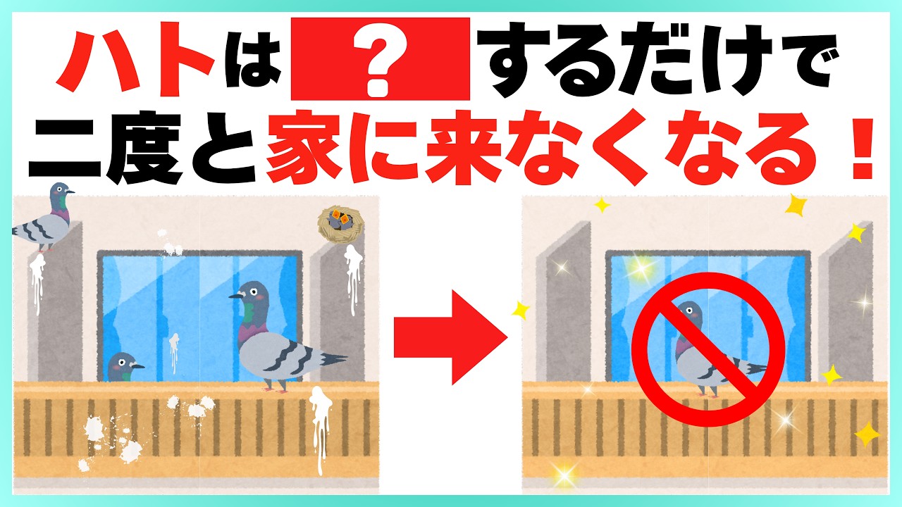 【コレが効果的】簡単にハトを撃退して、もう来させない方法