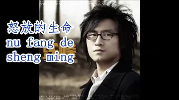 Wang Feng/汪峰 -  nu fang de sheng ming/怒放的生命