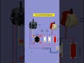 Cooler Connection Diagram | Air Cooler Wiring Easy Explanation in Hindi #fancoils