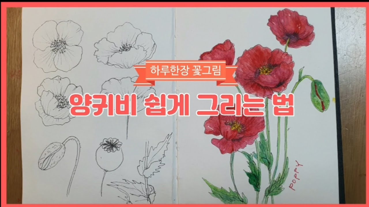 왕초보를 위한 꽃그림 쉽게 그리는법 