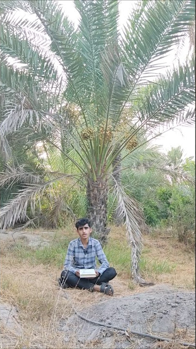Quran reading by Hafiz Quran in nature #quran