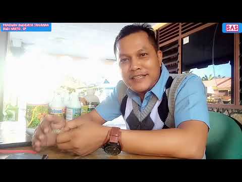 Video: Apakah kalsit digunakan dalam perhiasan?