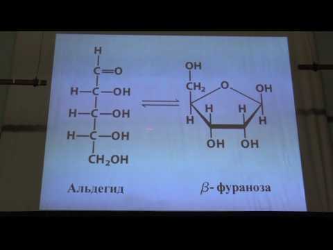 Асеев В. В. - Основы биохимии - Нуклеотиды