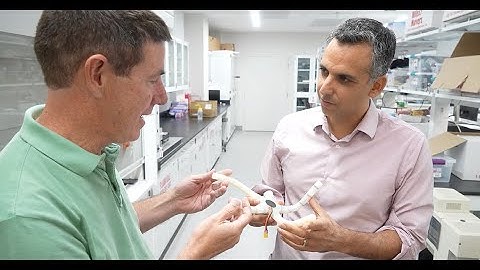 Phil LeDuc and Carmel Majidi: Paleobionics: Robotics Inspired by Extinct Species