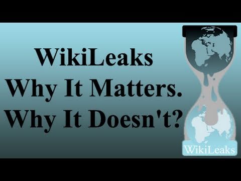 WikiLeaks, the Internet and Democracy