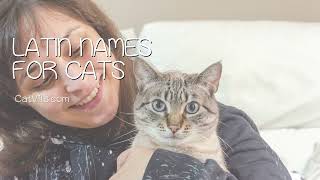 Latin Names for Cats by Catvills 125 views 2 years ago 1 minute, 1 second