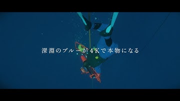 “本当の海の青さ”がここに！　リュック・ベッソン監督の原点にして頂点『グラン・ブルー 完全版 4K』予告編