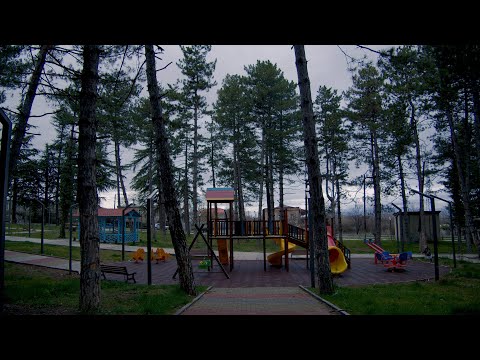 რა მდგომარეობაშია თელავში არსებული დასასვენებელი პარკები