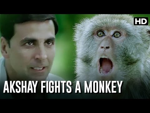 Akshay Kumar Fights A Monkey | Housefull