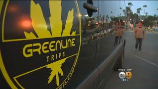 The Cannabus: Marijuana Bus Tour Newest Way To Toke In The Scenery Across LA