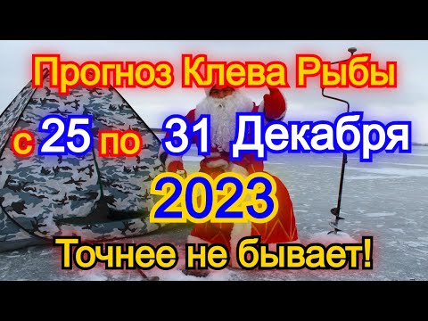 Календарь рыбака с 25 по 31 Декабря 2023 Прогноз клева рыбы Лунный Календарь рыбака 2023!