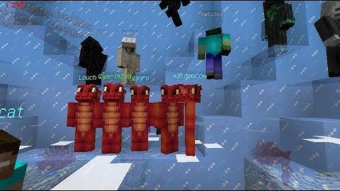 Prestige 4 phoenix montage