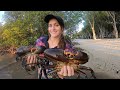 Mud crabs for Christmas FNQ | Ep 10