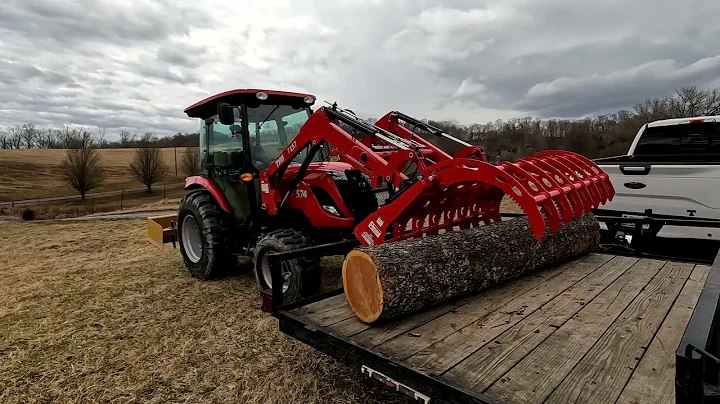 I Hit The Jackpot With This Rescued Cherry Log,  H...