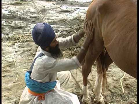 Baba Hari Singh Documentry