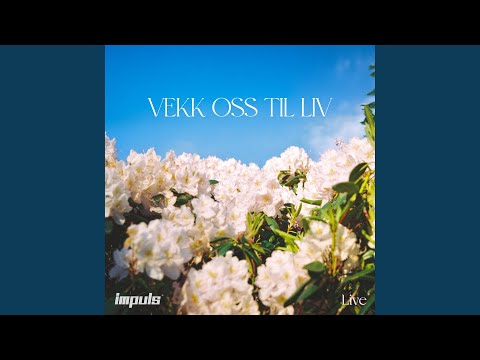 Vekk oss til liv - Live