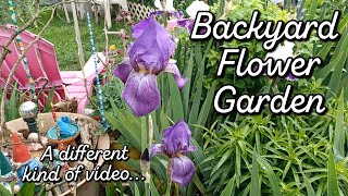 A quick tour of my wife's beautiful backyard garden in the city!