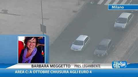 Cosa sono i veicoli di servizio?