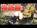 【MHW】β:1今作の強武器はこれで決まりな件【モンハンワールド】モンスターハンターワールド