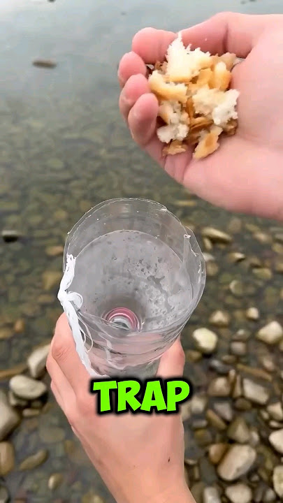 This Man Made Fish Trap from Pepsi   Bottle