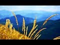 Morning Relax Music - Background Music for Stress Relief (Missouri)