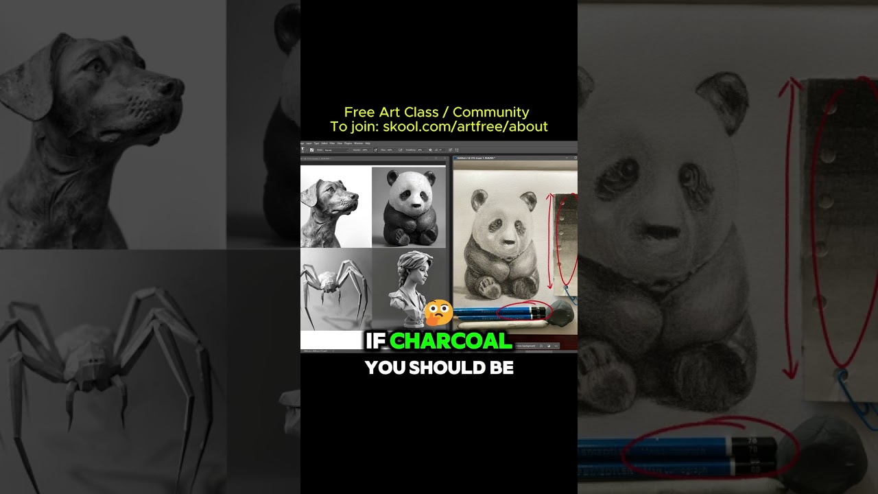 Free Art Community Student feedback Excerpt