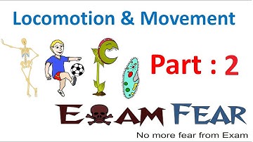Biology Locomotion & Movement part 2 (Organs for Locomotion & Movement) CBSE class 11 XI