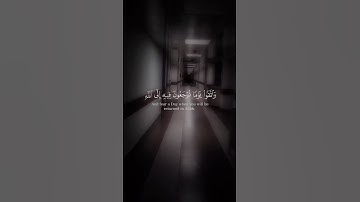 اية من سورة البقرة || المنشد والقارئ بشارسراج