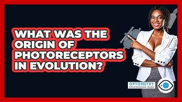 What Was The Origin Of Photoreceptors In Evolution? - Optometry Knowledge Base