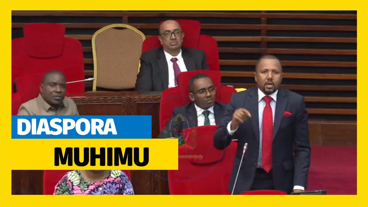 #TBC: ABDALLAH MWINYI NA SOMO LA UCHUMI MKUBWA KUTOKA KWA DIASPORA