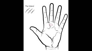 The Island on the Mount of Saturn #handlines #handsign #palmistry #astrology The Island on the Mount of Saturn #handlines #handsign #palmistry #astrology