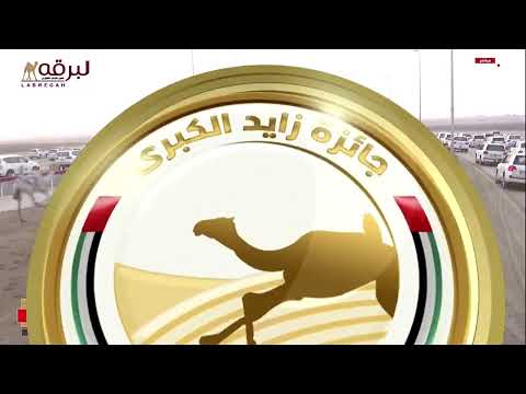 ش1 الفايزة ل أحمد سلطان بالرشيد السويدي مهرجان جائزة زايد الكبرى 24 11 2025ص حقايق بكار 5 53 41