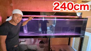 Set up a huge 240 cm aquarium in the Insectarium - YouTube