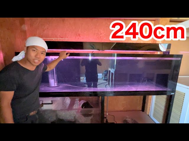 Set up a huge 240 cm aquarium in the Insectarium - YouTube